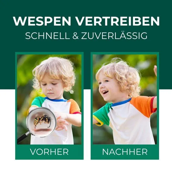 Silberkraft Silberkraft Wespenspray – Produktbild 2 von 4
