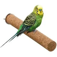 Kork-Deko Kork-Deko 2er Set Vogel-Sitzstangen aus lebensmittelechtem Kork – Produktbild 1 von 1
