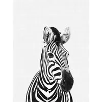 Photocircle Photocircle Poster / Leinwandbild - Zebra (Black and White) – Produktbild 1 von 1