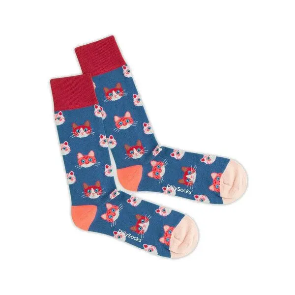 DillySocks DillySocks Socken Kitten aus Biobaumwoll-Mix, Sky kitten, – Produktbild 1 von 5