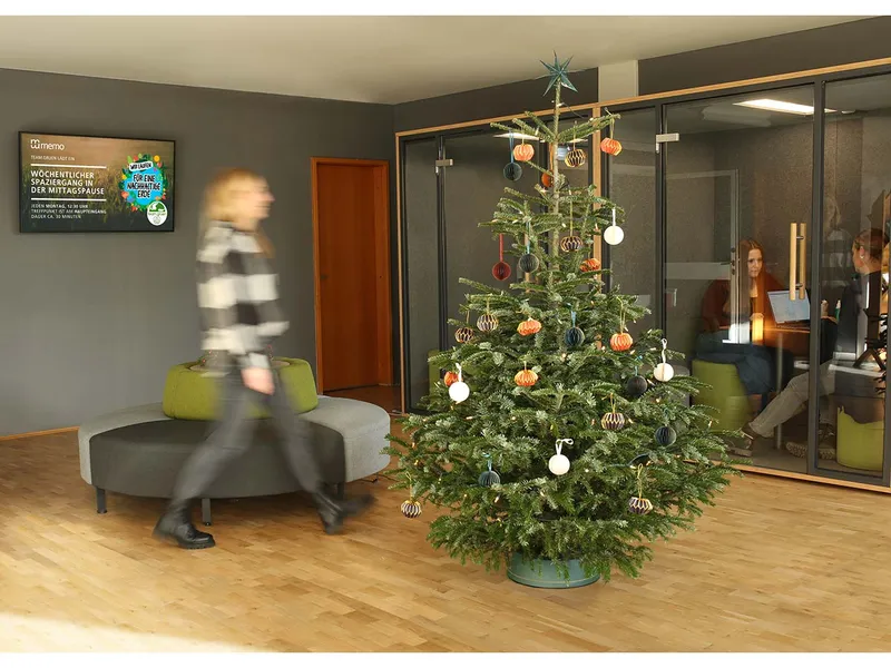 Bio-Nordmanntanne ca. 160-180 cm – Produktbild 1 von 2