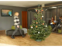 Bio-Nordmanntanne ca. 160-180 cm – Produktbild 1 von 1
