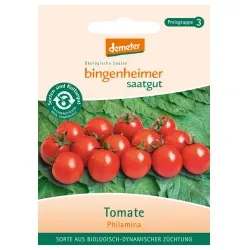 Bingenheimer Saatgut Cocktailtomaten Philamina – Produktbild 1 von 1