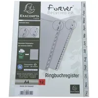 Exacompta Exacompta Register aus Recyclingkunststoff Januar-Dezember, DIN A4 – Produktbild 3 von 3