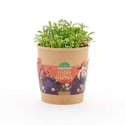 Die Stadtgärtner Die Stadtgärtner Flederschmaus - Halloween Becher - Geschenk & Giveaway für Halloween – Produktbild 1 von 1