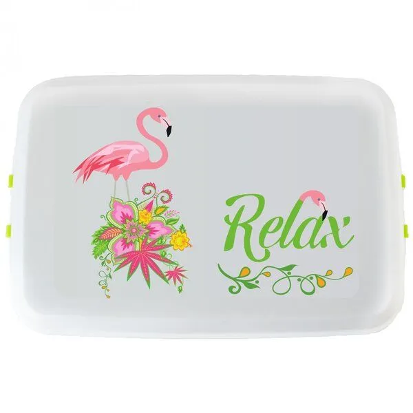 Biodora Biodora Bio-Lunchbox (0,8 L) – Verschiedene Designs – Biokunststoff auf Stärkebasis – Made in EU – Produktbild 2 von 8