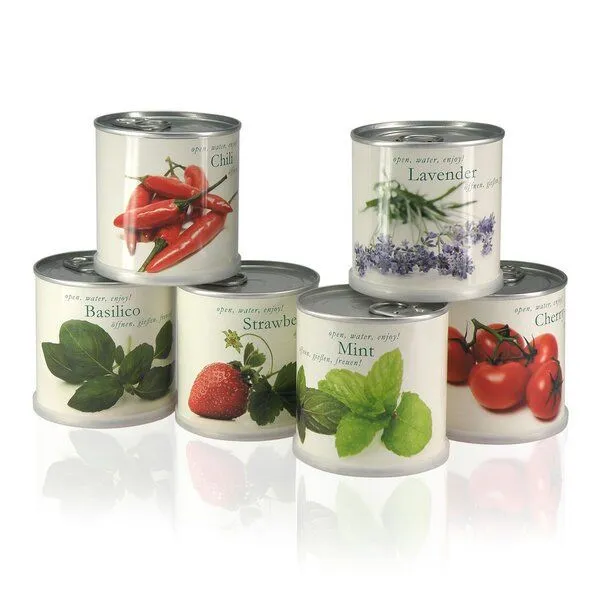MacFlowers MacFlowers Pflanzen in der Dose - Edelweiss Schweiz – Produktbild 4 von 4