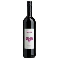 bioladen* bioladen* Merlot Veneto Tessari IGT 2023 – Produktbild 1 von 1