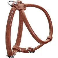 Hunter Hunter Geschirr Round & Soft Canadian Up cognac XXS-XS – Produktbild 1 von 1