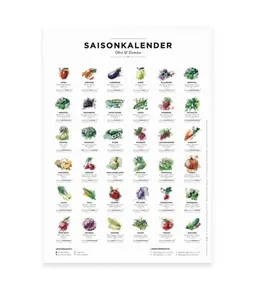 531 Rheinland Design 531 Rheinland Design Saisonkalender Obst & Gemüse, Format A4, Poster mit 36 Obst- & Gemüsesorten – Produktbild 1 von 1