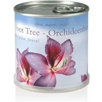 MacFlowers MacFlowers Pflanzen in der Dose - Orchideenbaum – Produktbild 1 von 1