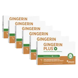 Cellavent Healthcare Bioaktiver Ingwer-Extrakt - Gingerin PLUS 6 Monate – Produktbild 1 von 1