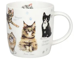 Könitz Könitz Tasse "Katzen" 350 ml aus Porzellan – Produktbild 1 von 1