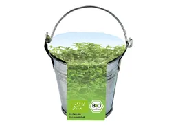 Bio Kresse im Eimer – Produktbild 1 von 1