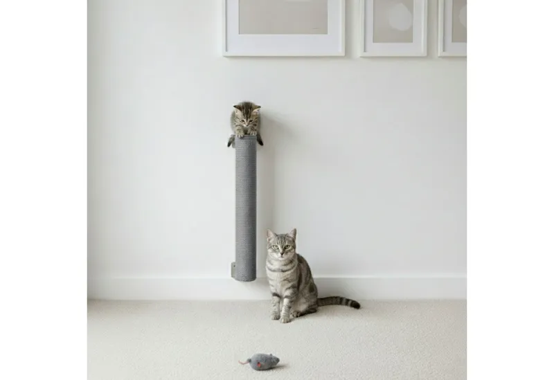 eyepower Kratzbaum zur Wandmontage - 60 cm Wandkratzbaum für Katzen - Sisal Kratzstamm, Sisalstamm Wand - Katzenkratzbaum platzsparend - Kletterwand Katze, Grau, – Produktbild 3 von 5