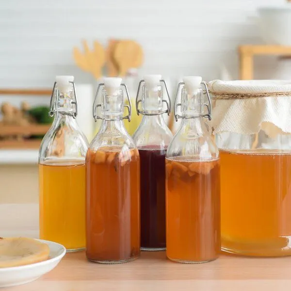 Wellness-Drinks Bio Kombucha mit Kombucha-Pilz (groß) – Produktbild 3 von 4