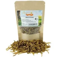Getzoo Getzoo Mehlwürmer 25g – Produktbild 1 von 1