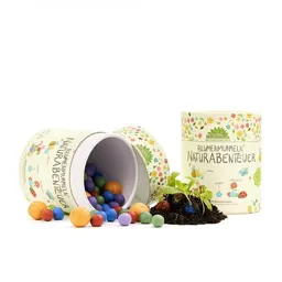 Die Stadtgärtner Die Stadtgärtner 100 bunte Blumenmurmeln "Mein Naturabenteuer" | handgerollte, farbenfrohe Samenbomben | Perfekt zum Kindergeburtstag | Geschenk für Kinder – Produktbild 1 von 1