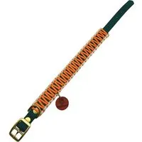 Wildfang Wildfang Hundehalsband "Waldgeflüster" aus Biothane mit Paracord creme/ türkis XS-S – Produktbild 1 von 1