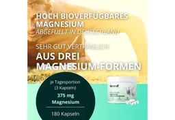 Brandl Nutrition Brandl Nutrition Magnesium-Komplex aus Citrat, Malat & Bisglycinat - ideal für Sportler Kapseln, Hochdosierte Kapseln mit 375 mg, unabhängig laborgeprüft – Produktbild 1 von 1