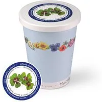 MacFlowers MacFlowers Blumen im Becher TO GROW - Glücksklee – Produktbild 1 von 1
