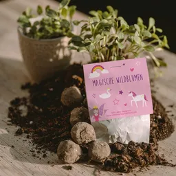 Ideenverlag Hamburg Ideenverlag Hamburg 10 „Einhorn“ Samenbomben im Tütchen mit Wildblumensaatgut | Nachhaltiges Mitgebsel für Kindergeburtstage & magisches Naturgeschenk für kleine Träumer:innen – Produktbild 1 von 1