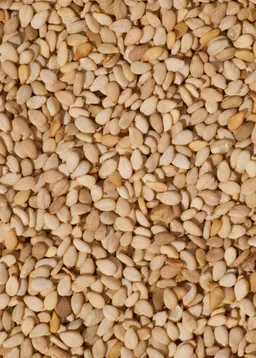 KoRo Ungeschälter Bio Sesam | 1 kg – Produktbild 1 von 1