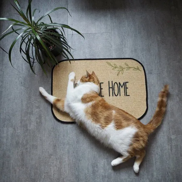 4betterdays 4betterdays Fußmatte | 'it's all about home' | 45 x 90 cm | Sisal | Naturlatex – Produktbild 2 von 4