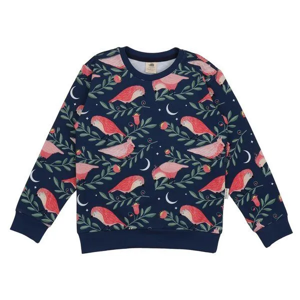 Walkiddy Walkiddy Kinder Sweatshirt GOTS zertifiziert – 95% Bio-Baumwolle, Dunkelblau mit Vogelmotiv, weich & bequem, Dark blue, – Produktbild 1 von 3