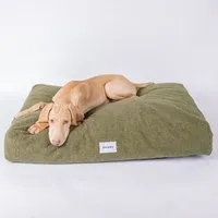 Caruso Conscious Pet Supply Caruso Conscious Pet Supply Hundebett - Teddy Waldgrün - aus Upcycling- und Recyclingmaterial – Produktbild 1 von 1