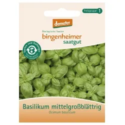 Bingenheimer Saatgut Basilikum, mittelgroÃüblÃ¤ttrig – Produktbild 1 von 1
