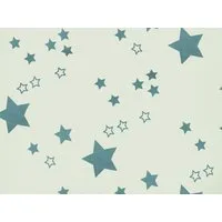 HANS NATUR Bio-Baumwollstoff Meterware Stern mint Breite 170 cm – Produktbild 1 von 1