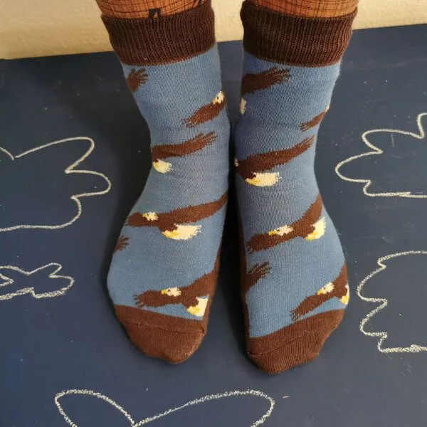 Fräulein Prusselise Fräulein Prusselise Adler Socke blau braun bunt gemustert, Bunt, – Produktbild 4 von 4