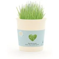 Die Stadtgärtner Die Stadtgärtner Herzrasen Anzuchtset als romantisches Geschenk | Nachhaltige Geschenkidee für Valentinstag, Liebesbotschaften & Jahrestag – Produktbild 1 von 1
