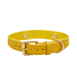 Barkalot Barkalot Hundehalsband Veganes Leder gelb XS – Produktbild 1 von 1