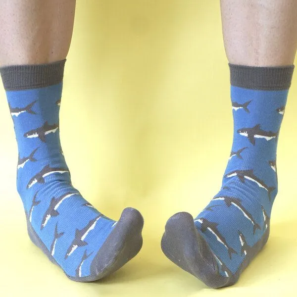Fräulein Prusselise Fräulein Prusselise Hai Socken blau, bunt gemustert – Produktbild 1 von 3