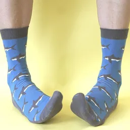 Fräulein Prusselise Fräulein Prusselise Hai Socken blau, bunt gemustert – Produktbild 1 von 1