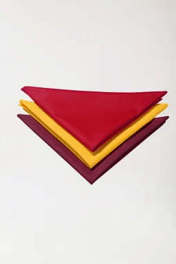BERUFSBEKLEIDUNG Gastro Halstuch Unisex, rot - Berufsbekleidung.de – Produktbild 1 von 1