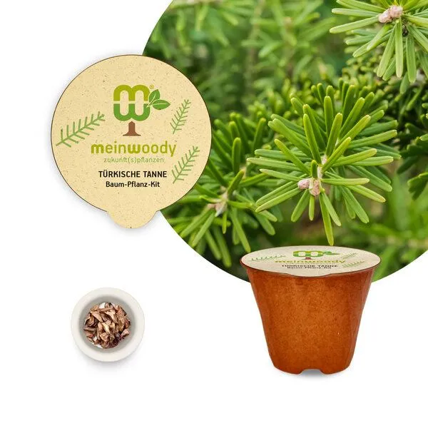 meinwoody meinwoody Baum-Pflanz-Set – Produktbild 7 von 8