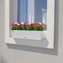 Lechuza® Lechuza® 'Balconera Cottage 80', weiß, ca. 79 x 19 x H 19 cm – Produktbild 1 von 1