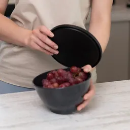 mio eco x Ornamin mio eco x Ornamin Camping Bowl mit Deckel | zero waste made in germany – Produktbild 1 von 1