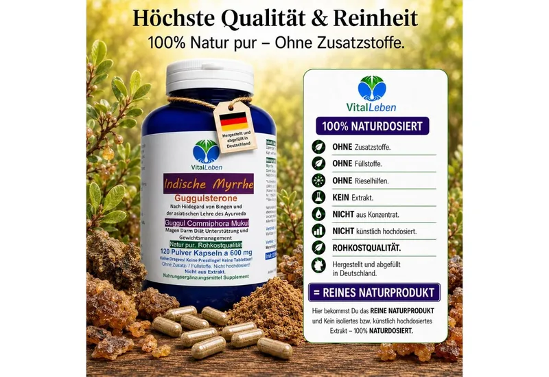 VitalLeben Guggul Indische Myrrhe reich an Guggulsteronen ohne Zusatzstoffe Kapseln, 1 er Dose à 120 St., 72 g, Art. 26810-120 – Produktbild 3 von 5