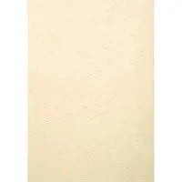 Exacompta 100 Exacompta Eindbanddeckel "Forever", 270 g/m², DIN A3, elfenbein – Produktbild 1 von 1