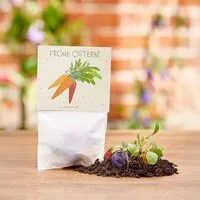 Die Stadtgärtner Die Stadtgärtner 10x5 Blumenmurmeln im Tütchen "Möhren" I Ostergeschenk für Kinder I Kleinigkeit zu Ostern I Geschenk zu Ostern I Kleine Geschenk für Osternest oder Osterkörbchen – Produktbild 1 von 1