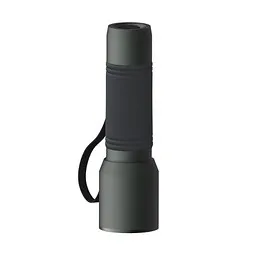 REEVES Taschenlampe REEVES-myFLASH 300, Dunkelgrau, – Produktbild 1 von 2