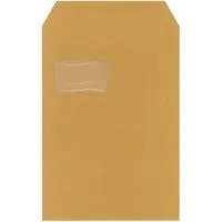 25 C4 Versandt. braun SK m.F. 90g – Produktbild 1 von 1