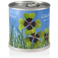 MacFlowers MacFlowers Pflanzen in der Dose - Glücksklee – Produktbild 1 von 1