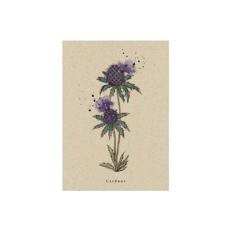 matabooks® Postkarte Distel – Produktbild 1 von 2