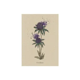 matabooks® Postkarte Distel – Produktbild 1 von 1