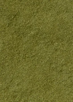 KoRo Bio Brennnessel Pulver 500 g – Produktbild 1 von 1
